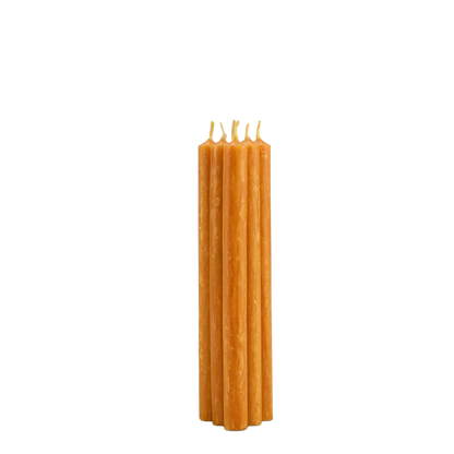 Orange & Cinnamon 6 Scented Candles - St Eval